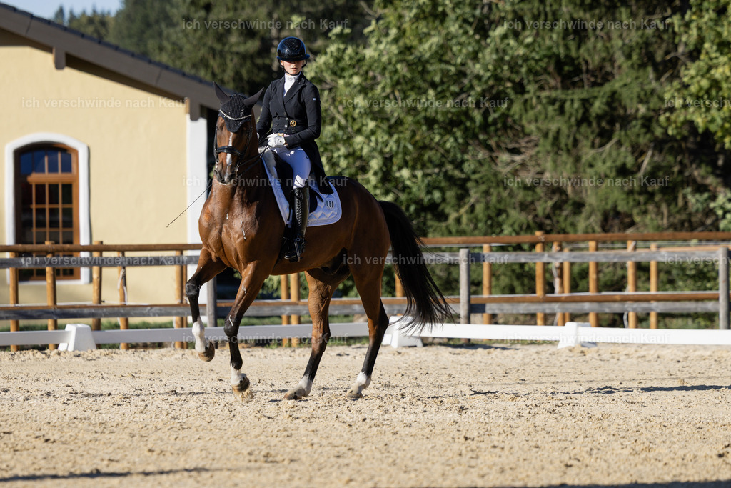FHC2026_P09_80_19010 | Fichtenhof Classics 2026 – Grand Prix de Dressage - VOLTAIRE Design Preis, Reitanlage Fichtenhof, Sch ftlarn