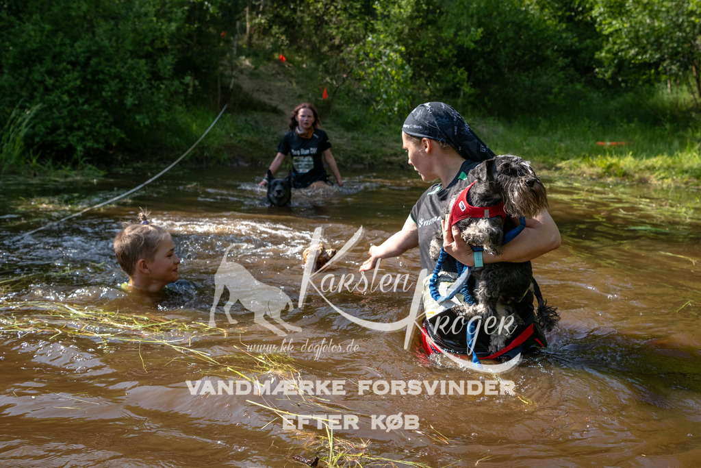 1651DKK991358 | kk-dogfotos