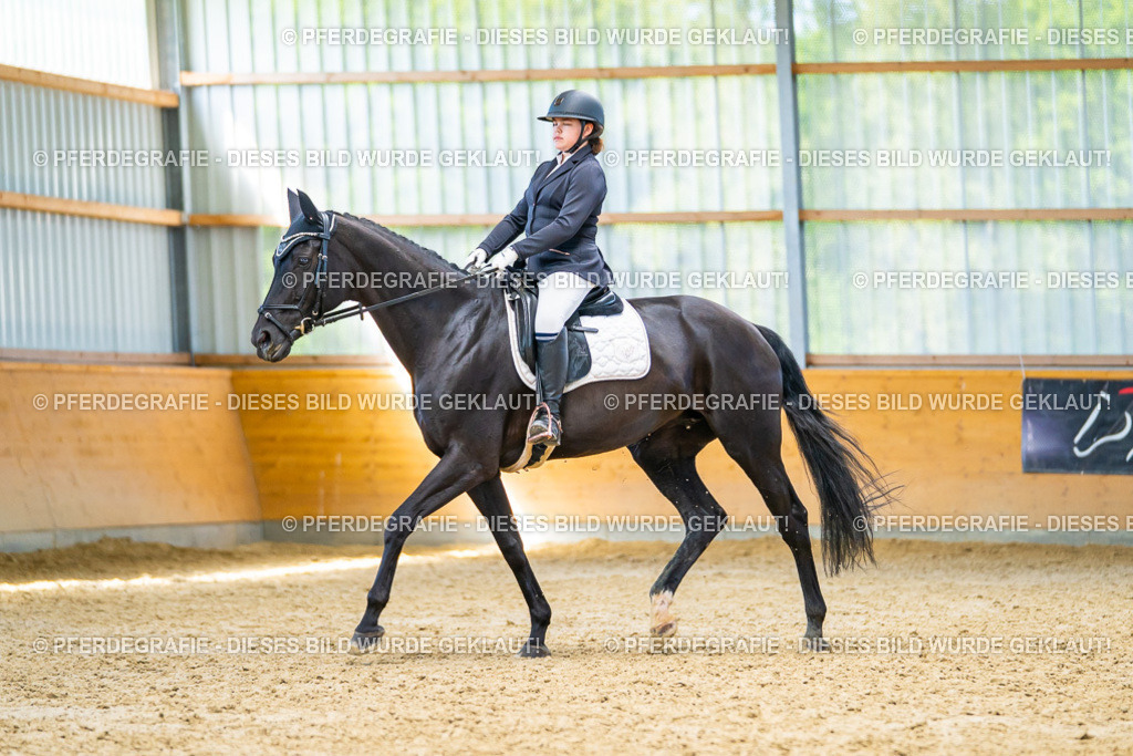 DSC08056 | Pferdegrafie