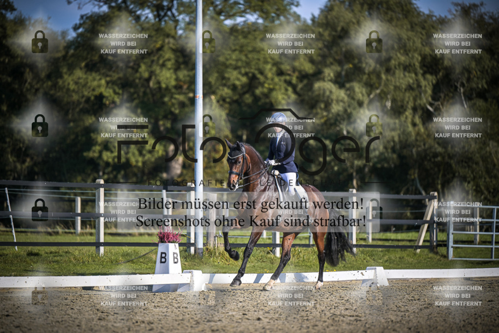 DOS_B826 | Entdecke hochwertige Reitturnierfotos von Foto Oger. Professionell, emotional und authentisch – jetzt Lieblingsmomente im Shop bestellen.Deutschlandweite Turnierfotografie. - Realisiert mit Pictrs.com