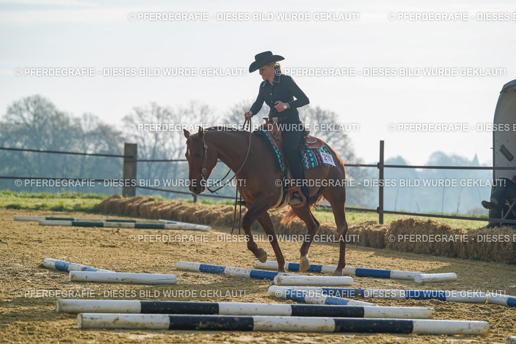 DSC00126 | Pferdegrafie