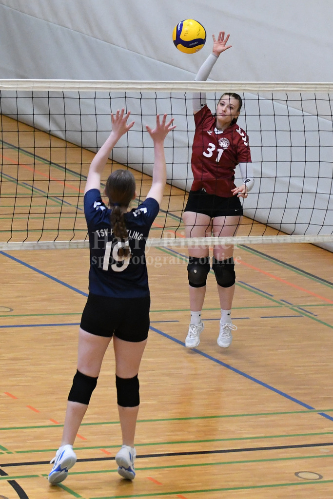 TSV Plattling Volleyball : VSG Passau/Fürstenzell | TSV Plattling IsarVolleys Damen - Realisiert mit Pictrs.com