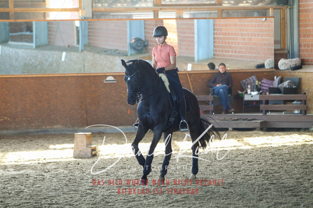 DKP42301 | Turniersportfotografie; Pferdefotografie; Dressurfotografie