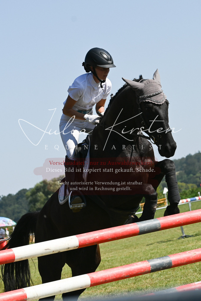 DSC_6373 | Pferde- und Turnierfotografie in Westsachsen. Pferdeportraits, Auftragszeichnungen und intuitive Kunst.