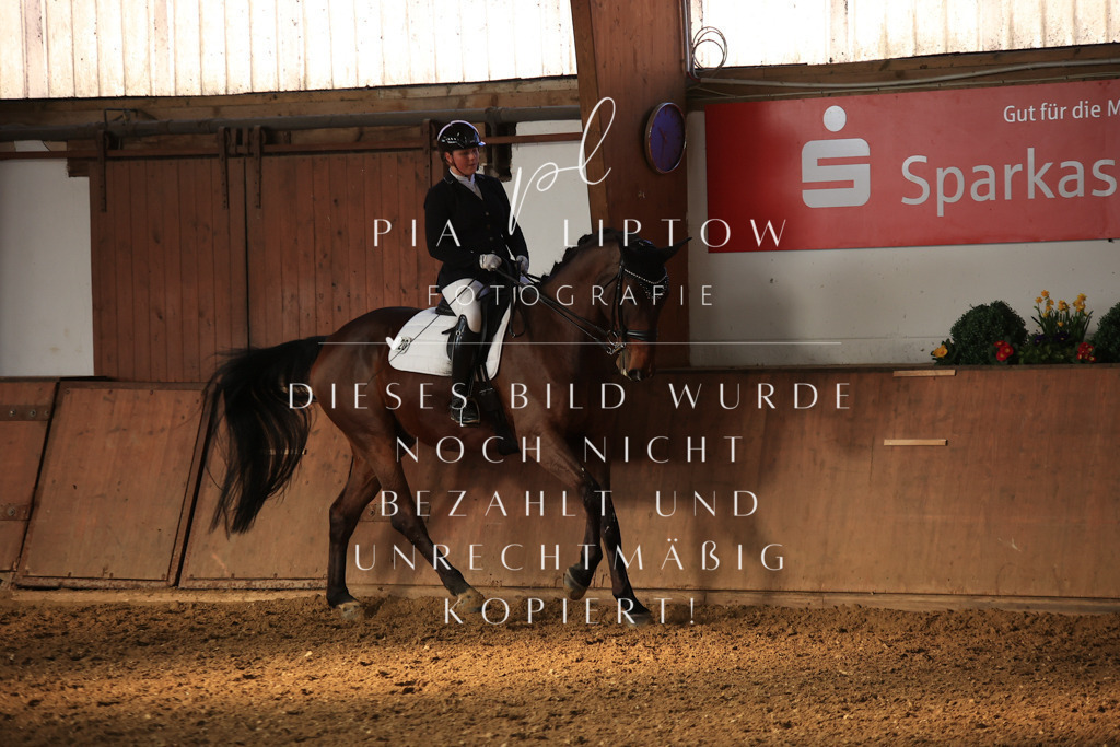 IMGT1356 | pl-fotografie