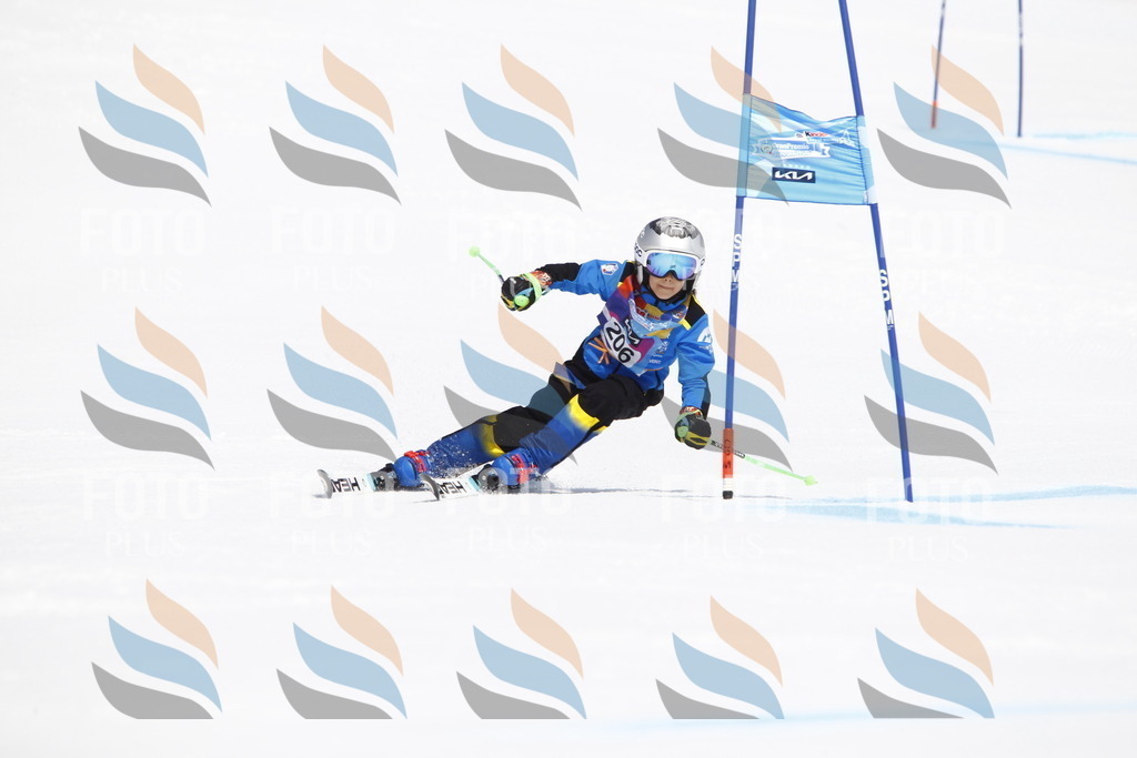 _U3G5341 | holidayphoto