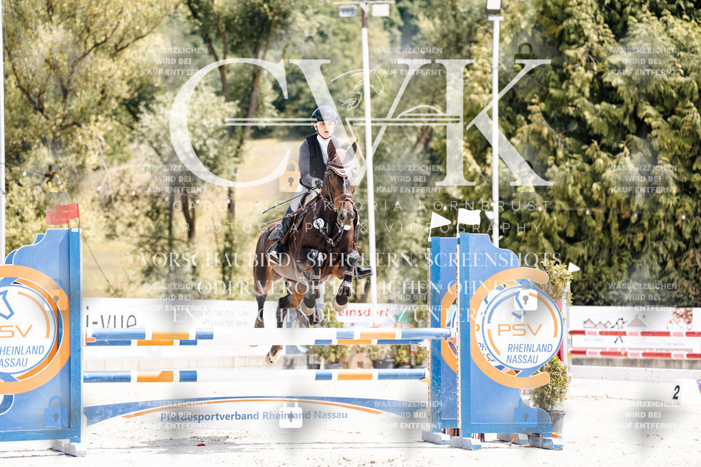 CK907914 | Turnierfotografie Pferdefotografie Trier Rheinland-Pfalz Pferdesport Reitsport Tierfotografie Sportfotografie Pferdevideo Pferdevideografie Equestrianvideography equestrianphotography  - Realisiert mit Pictrs.com