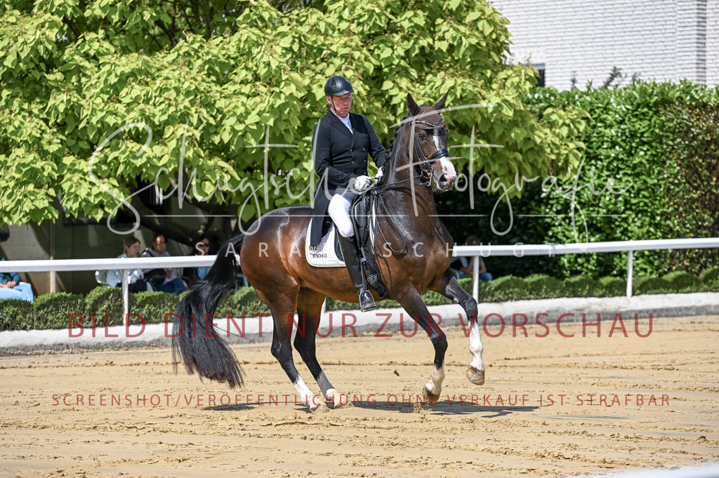 Schugtsche-Aluta25-58. Dressurprf.S1Kand.St.GeorgSpecial-14 | Schugtsche Fotografie - Realisiert mit Pictrs.com