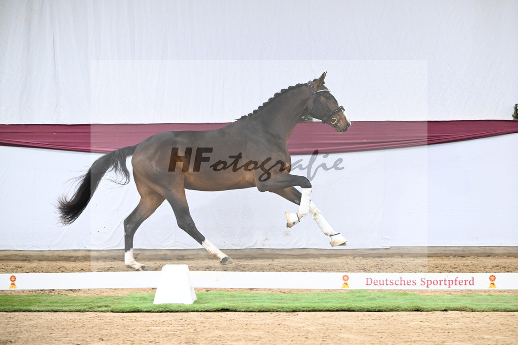 Kat-Nr. 124 Global Player x Floriscount_Christian Wittlinger_47254156 | hf-fotografie - Realisiert mit Pictrs.com