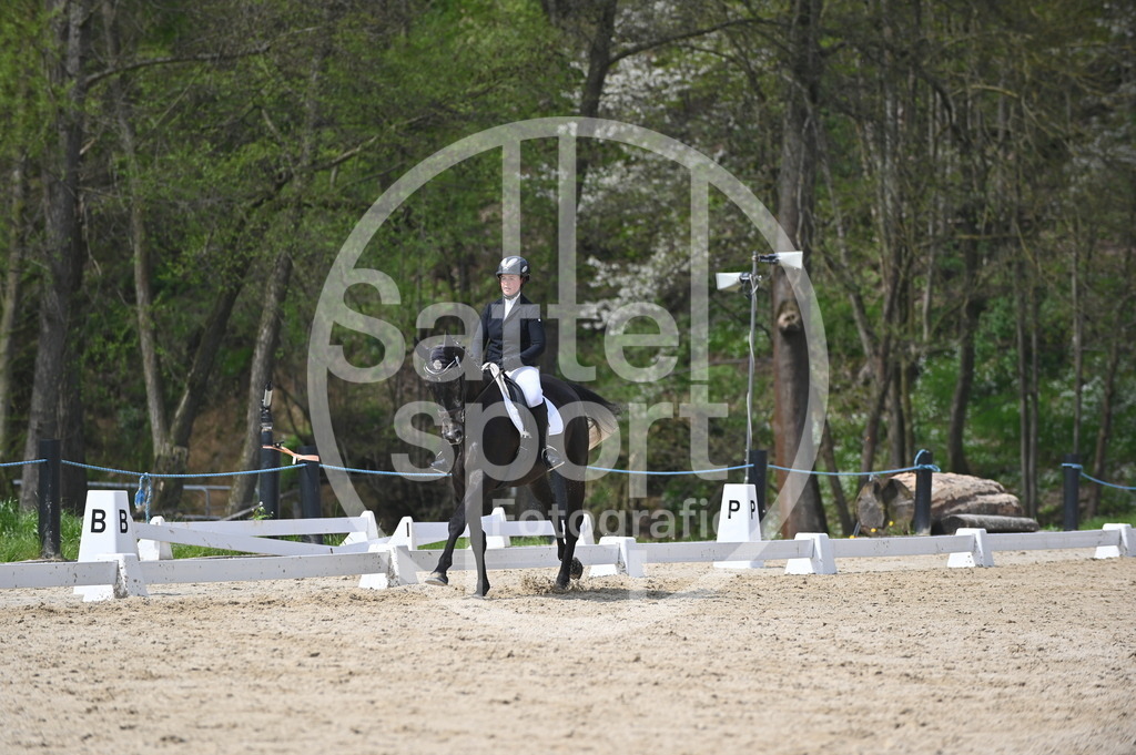 DSC_3044 | sattelsport - Realisiert mit Pictrs.com