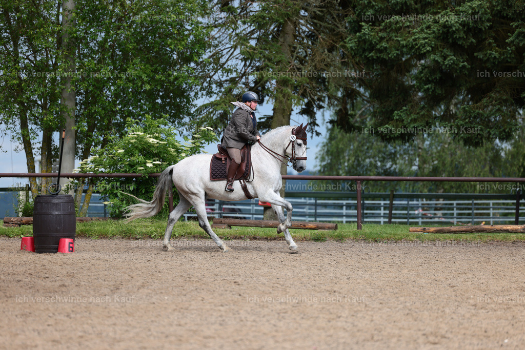 KlasseL_Stoibphotography_CAM23905.JPG | working equitationturnier fotograf videograf stoibphotography marixx film working equitation deutschland reitsport turnierfotografie eventfotografie equestrian events