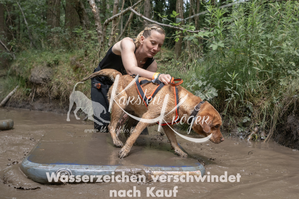 1333_ZZ94624 | kk-dogfotos