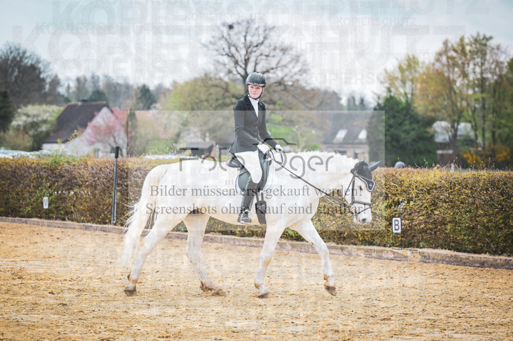 DOS_7317 | Entdecke hochwertige Reitturnierfotos von Foto Oger. Professionell, emotional und authentisch – jetzt Lieblingsmomente im Shop bestellen.Deutschlandweite Turnierfotografie. - Realisiert mit Pictrs.com