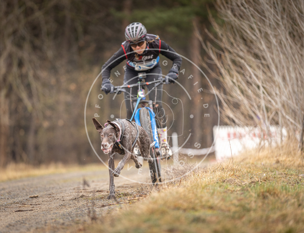 DV3A3173 | Hundefotografie, Tierfotograf, Pfotenfotografie, Fotoshooting Hund, Hunde Portrait, Hundesport, Hundeportraits, Heideshooting, Hunde, Sportfotograf, Hundefotograf, Turnierhundsport, THS,  - Realisiert mit Pictrs.com