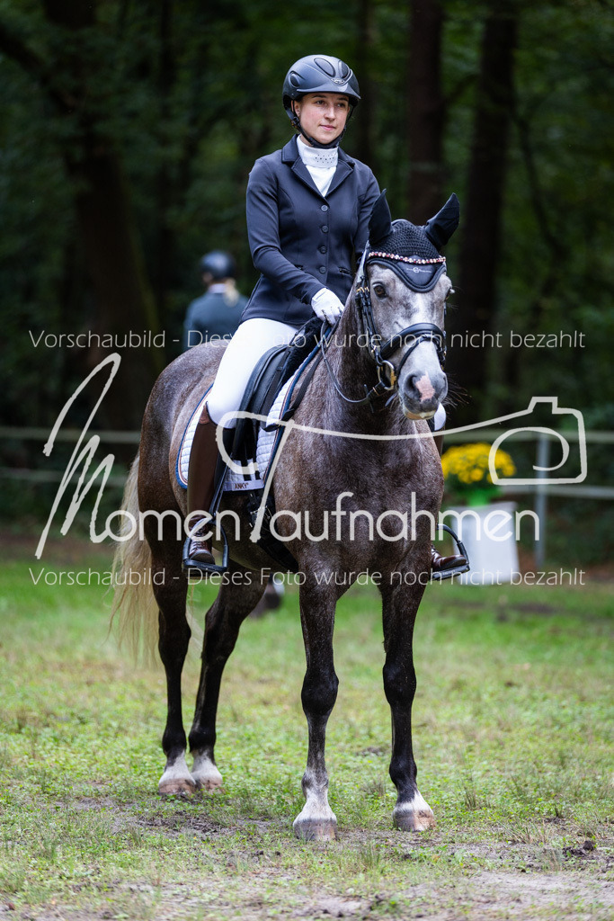 HB-A-Dressur-081 | MomenTaufnahmen Pferdesportfotos