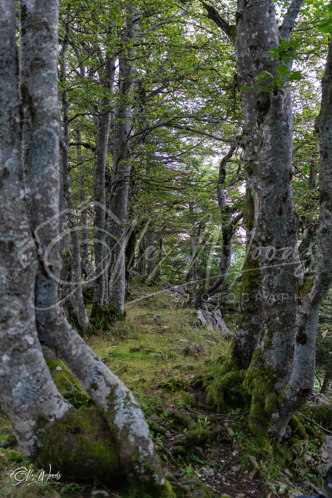 20240922_075659_SA7CR211_AlexWoods_FullSize | Alex Woods Photography