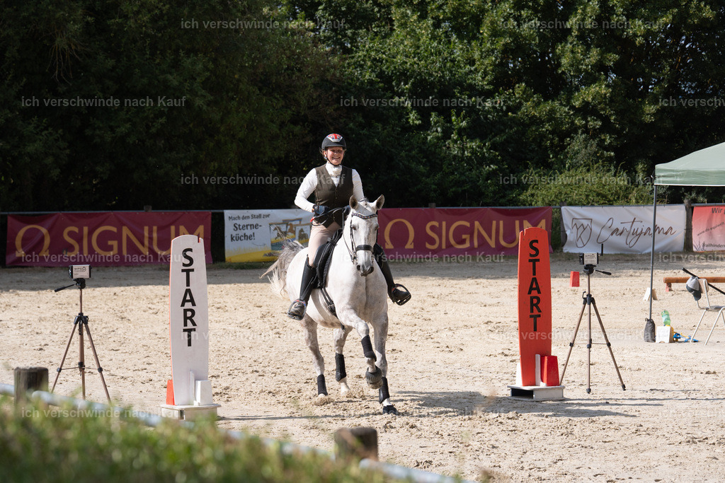 WS_SP_87_SinaFilmArt_IN08656 | working equitationturnier fotograf videograf stoibphotography marixx film working equitation deutschland reitsport turnierfotografie eventfotografie equestrian events