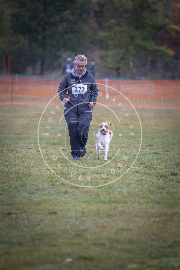 Pfotenfotografie_DV3A9188 | Hundefotografie, Tierfotograf, Pfotenfotografie, Fotoshooting Hund, Hunde Portrait, Hundesport, Hundeportraits, Heideshooting, Hunde, Sportfotograf, Hundefotograf, Turnierhundsport, THS,  - Realisiert mit Pictrs.com