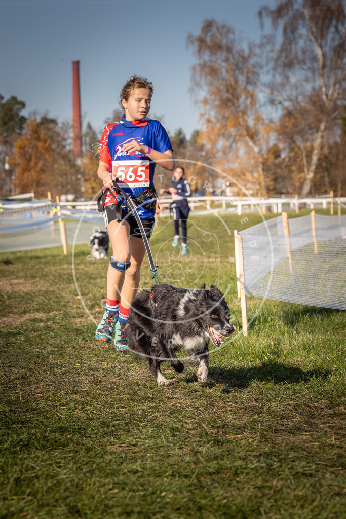 CaniXpix_0L8A7940 | Hundefotografie, Tierfotograf, Pfotenfotografie, Fotoshooting Hund, Hunde Portrait, Hundesport, Hundeportraits, Heideshooting, Hunde, Sportfotograf, Hundefotograf, Turnierhundsport, THS,  - Realisiert mit Pictrs.com