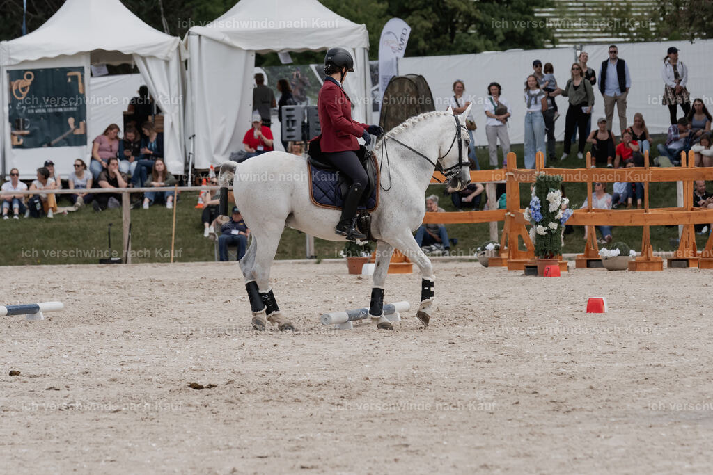 WE_ST_Stoib_332_PI2025_1188 | Pferd International München 2025