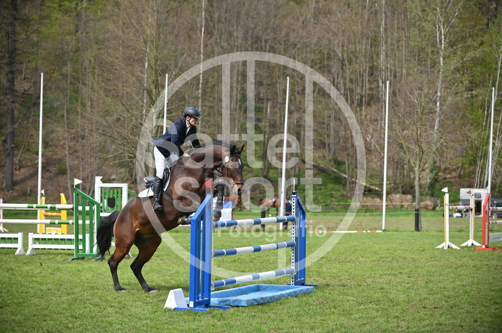 DSC_3832 | sattelsport - Realisiert mit Pictrs.com