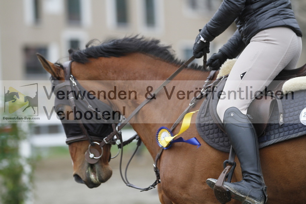 _MG_4634 | equestrian-live-com