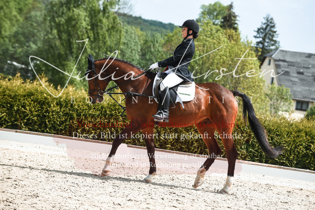 20230518_JK-Röhrsdorf-11-0483 | Pferde- und Turnierfotografie in Westsachsen. Pferdeportraits, Auftragszeichnungen und intuitive Kunst.