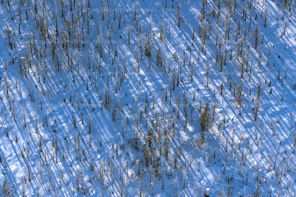 4044916 | SCHIERKE 14.02.2021 Winterlich schneebedeckte Baumspitzen in einem Waldgebiet in Schierke im Nationalpark Harz im Bundesland Sachsen-Anhalt, Deutschland. // Wintry snowy treetops in a wooded area in Schierke in the Harz in the state Saxony-Anhalt, Germany. Foto: Gerhard Launer