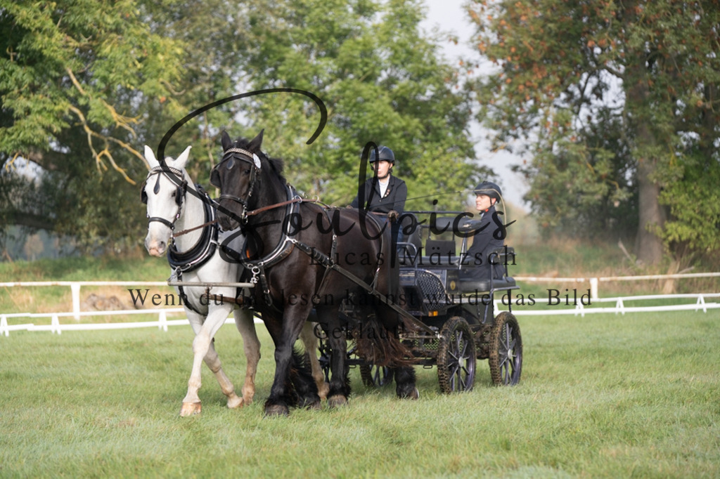 A7V04093 | Pferdefotograf