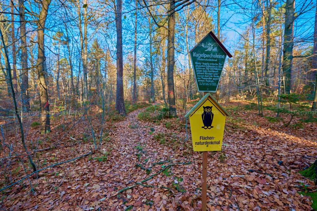 Kugelpechstein im Tharandter Wald 01 | Bedeutsame Landschaften Deutschlands - Realisiert mit Pictrs.com