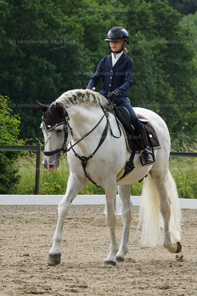 KlasseE_Lucie446 | working equitationturnier fotograf videograf stoibphotography marixx film working equitation deutschland reitsport turnierfotografie eventfotografie equestrian events