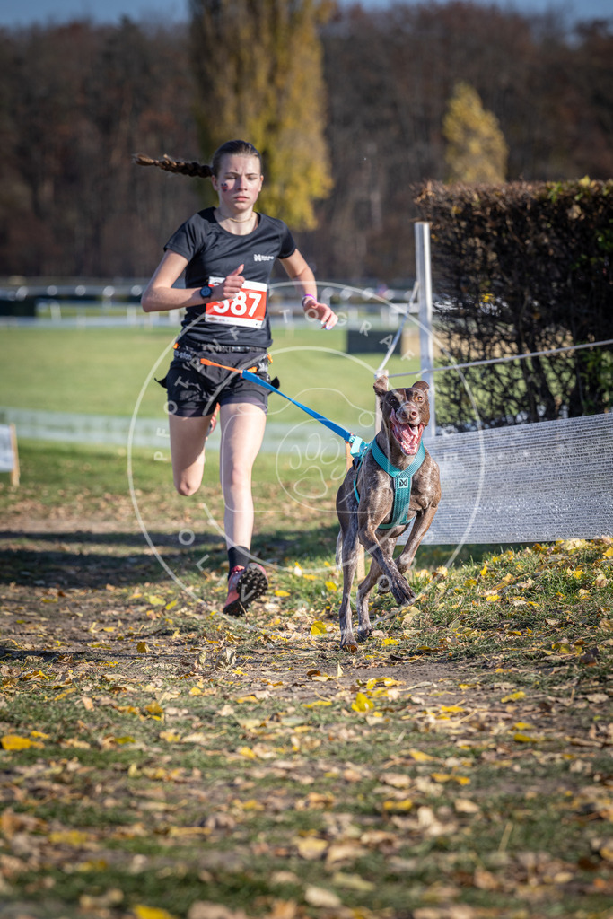 CaniXpix_DV3A9171 | Hundefotografie, Tierfotograf, Pfotenfotografie, Fotoshooting Hund, Hunde Portrait, Hundesport, Hundeportraits, Heideshooting, Hunde, Sportfotograf, Hundefotograf, Turnierhundsport, THS,  - Realisiert mit Pictrs.com