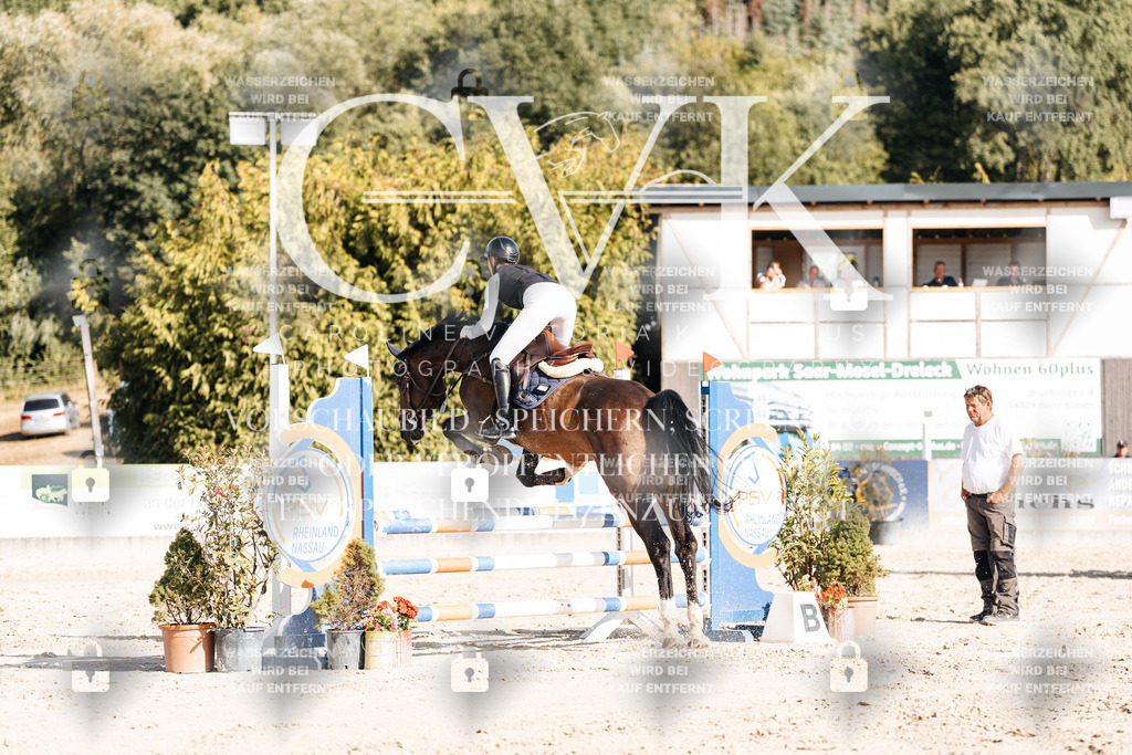 CK909266 | Turnierfotografie Pferdefotografie Trier Rheinland-Pfalz Pferdesport Reitsport Tierfotografie Sportfotografie Pferdevideo Pferdevideografie Equestrianvideography equestrianphotography  - Realisiert mit Pictrs.com