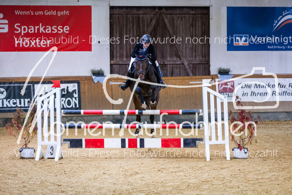 Sth-L-Springen-001 | MomenTaufnahmen Pferdesportfotos