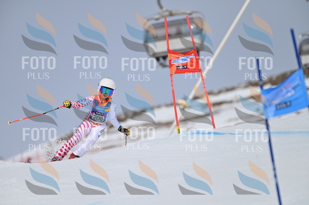 BGV_3964 | holidayphoto