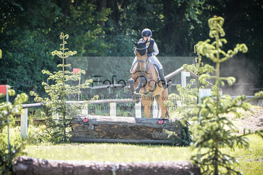DOS_4971 | Entdecke hochwertige Reitturnierfotos von Foto Oger. Professionell, emotional und authentisch – jetzt Lieblingsmomente im Shop bestellen.Deutschlandweite Turnierfotografie. - Realisiert mit Pictrs.com