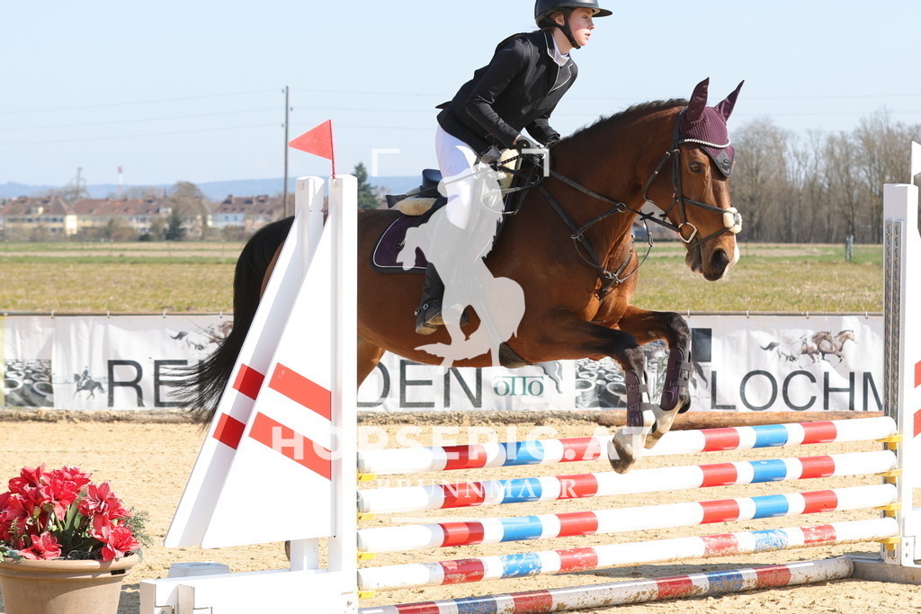 0P6A6437 | Willkommen bei Brunnmayr - Design & Fotografie – Ihrem Spezialisten für Reitturniere und Pferdeveranstaltungen in Oberösterreich, Salzburg und Bayern! Seit über 17 Jahren sind wir leidenschaftlich dabei.