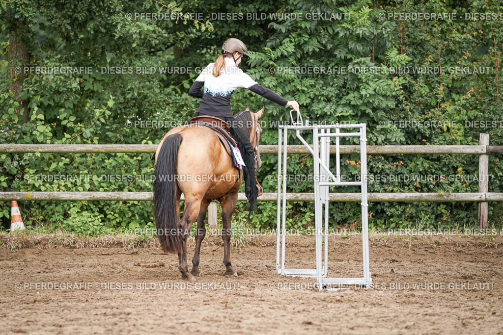 DSC04516 | Pferdegrafie