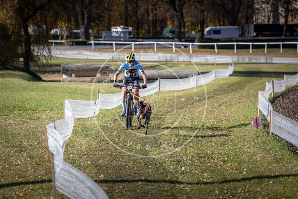 CaniXpix_DV3A5307 | Hundefotografie, Tierfotograf, Pfotenfotografie, Fotoshooting Hund, Hunde Portrait, Hundesport, Hundeportraits, Heideshooting, Hunde, Sportfotograf, Hundefotograf, Turnierhundsport, THS,  - Realisiert mit Pictrs.com