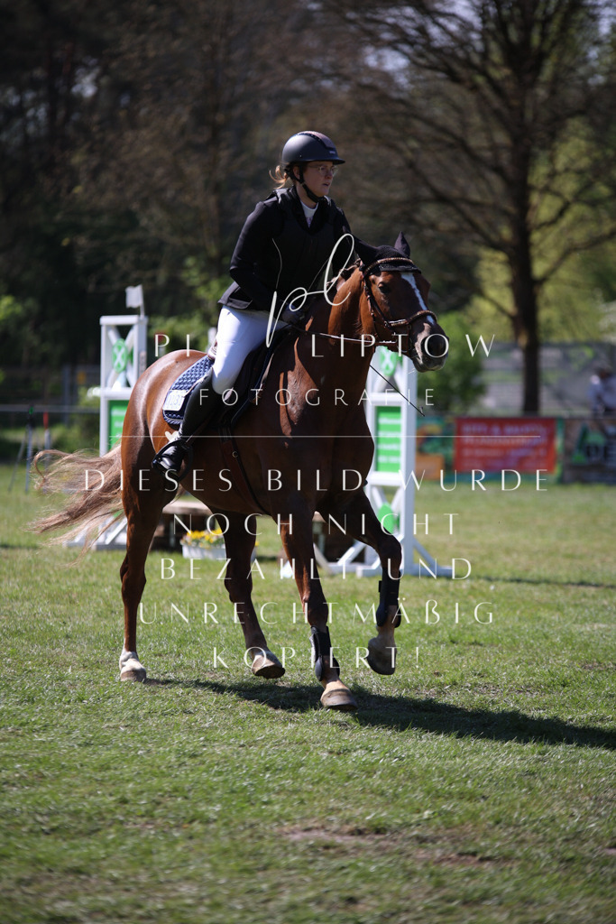 IMGT8845 | pl-fotografie