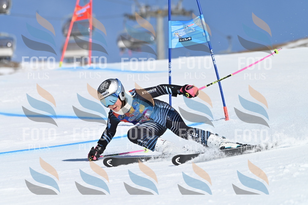 BGV_8486 | holidayphoto