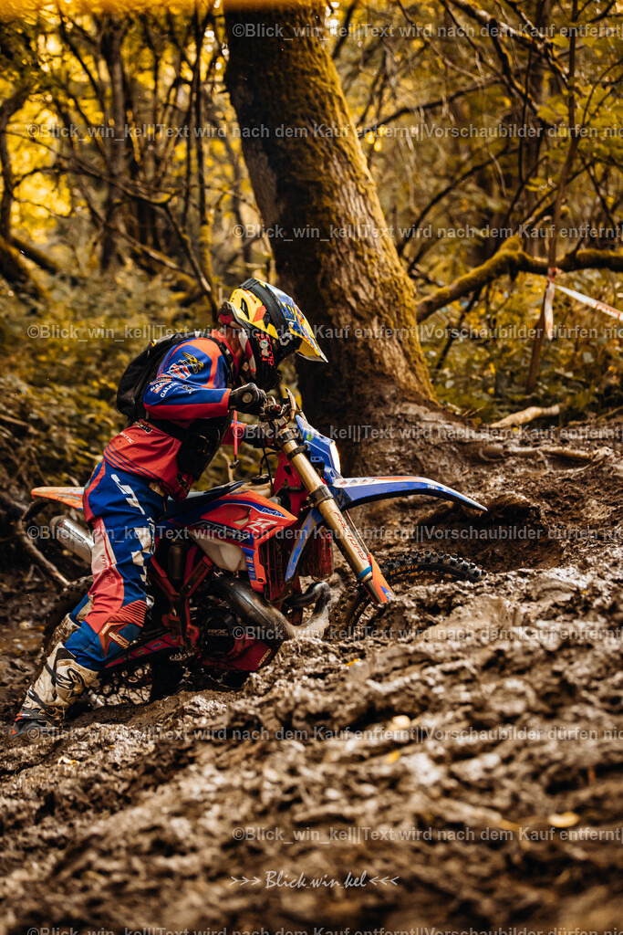 E68A6237 | blick_win_kel