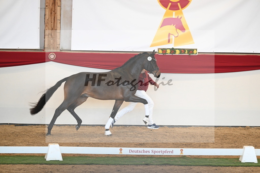 Kat.-Nr. 73 v. McLaren_Schulze Averdiek_2250633 | hf-fotografie - Realisiert mit Pictrs.com