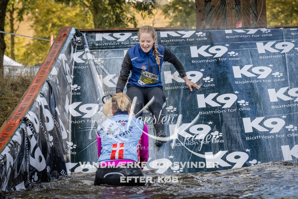 1540_ZZ90522 | kk-dogfotos