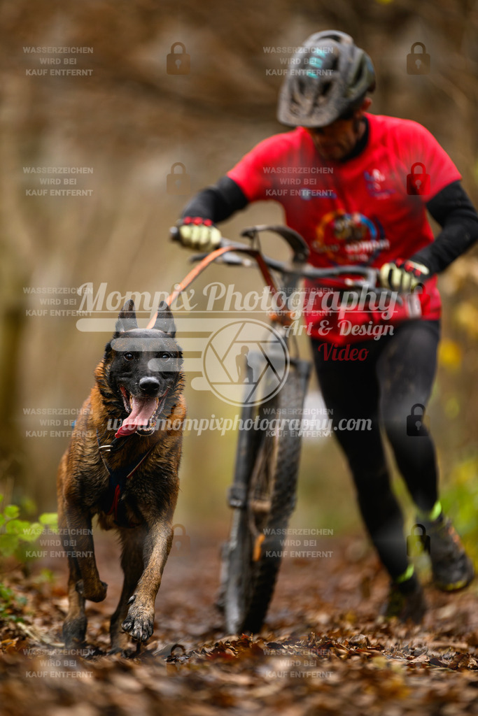 MompixPhotography_Eschau2024_DS1-32 | PayLife