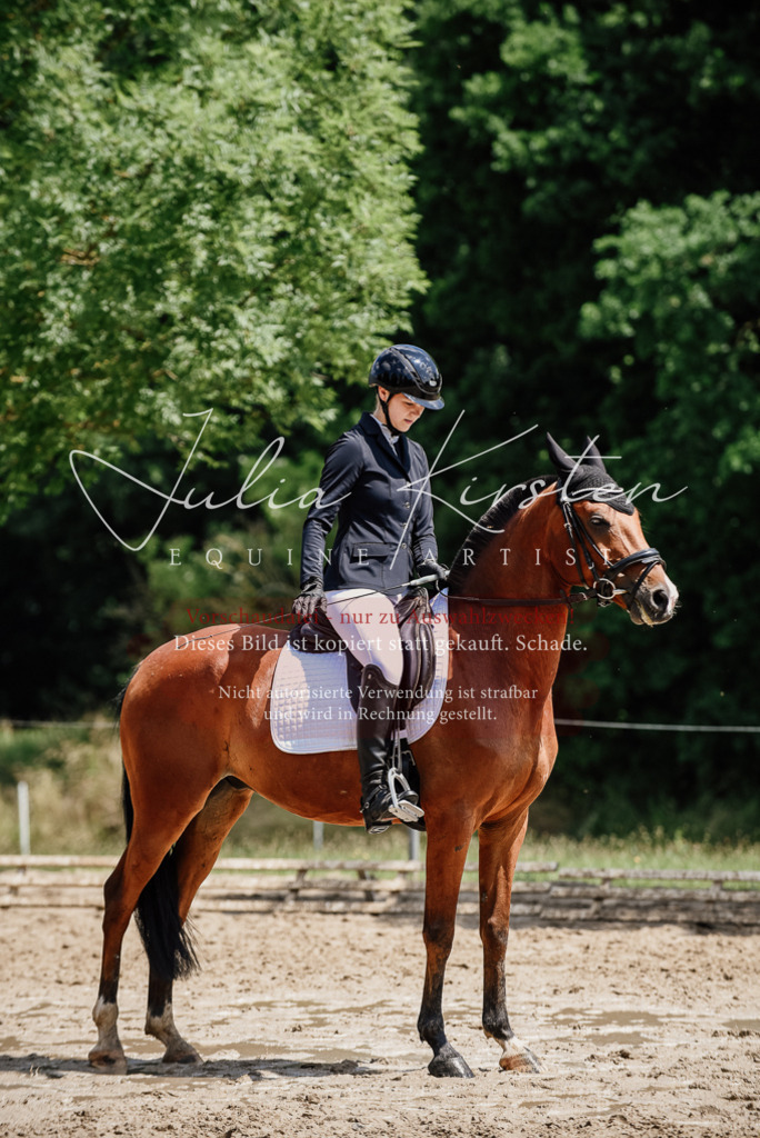 DSC_1726 | Pferde- und Turnierfotografie in Westsachsen. Pferdeportraits, Auftragszeichnungen und intuitive Kunst.