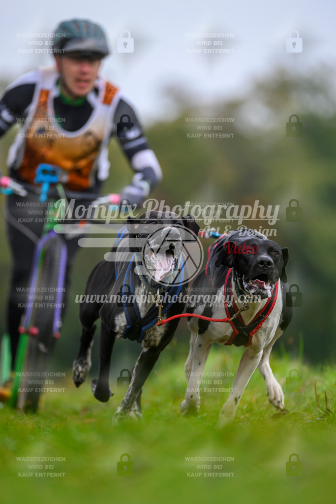 MompixPhotography_CDLBDB2025_DI_DS-5 | PayLife