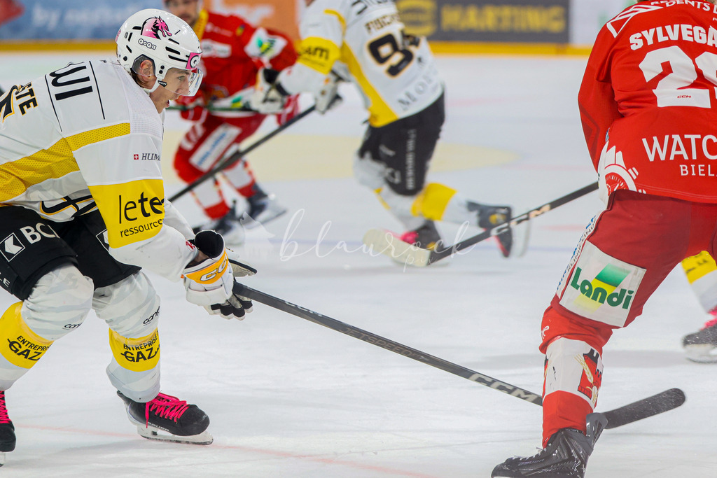 EHCB vs HCA 20260127_wb-9496 | Sportbilder, Sportfotograf, Hochzeits- und Eventfotografin, Flugshows, Portraits und Tiershooting, Aviation, Downhill, Nationalleague, Swissleague, International