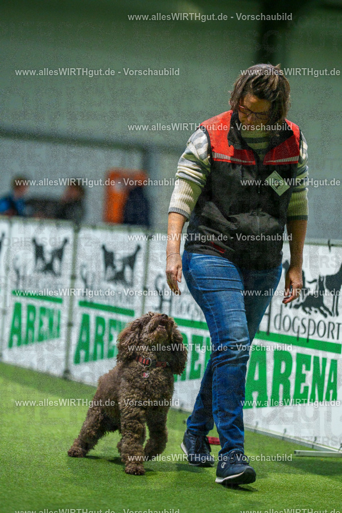 7R508329 | Professionelle Tierfotografie in Mönchengladbach von Daniel Wirth (allesWIRTHgut). Liebevolle & natürliche Bilder von Hunden & Katzen für unvergessliche Erinnerungen.