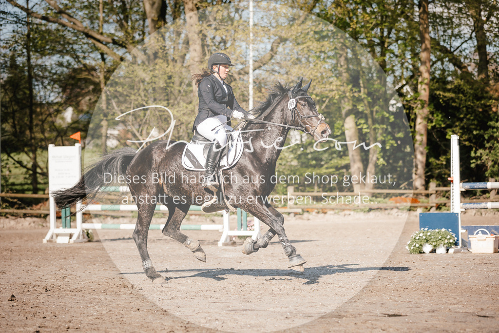 3I6A3711 | Stimmungsvolle Portraits und Reitsportfotografie im Ruhrgebiet und im Münsterland.

Pferdefotografie, Hundefotografie, Tierfotografie, Reportagen, Portraits von Tier und Mensch, Turnierfotografie in Bochum, Recklinghausen, Marl, Haltern am See, Dülmen.. - Realisiert mit Pictrs.com